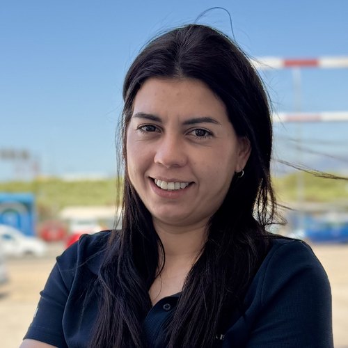 Irina Mancini, Ejecutivo de Aduanas, Lantimar