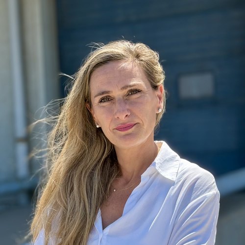 María del Mar Vilanova, Ejecutiva de Aduanas, Lantimar